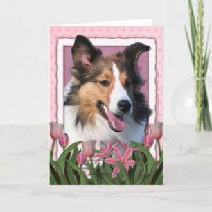 Mothers Day - Pink Tulips - Sheltie Card