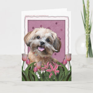 Mothers Day - Pink Tulips - ShihPoo - Maggie Card