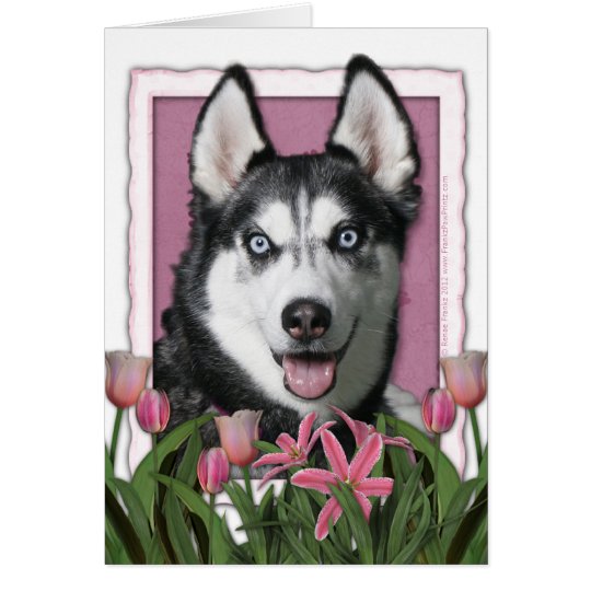 Mothers Day - Pink Tulips - Siberian Husky Card