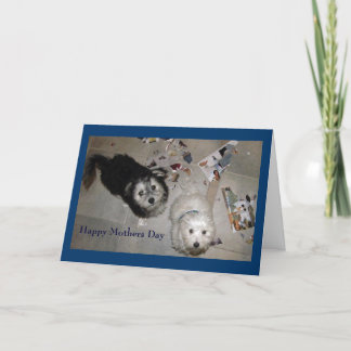 Mother's Day puppy card