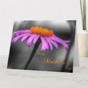 Mothers Day Purple and Orange Coneflower Card