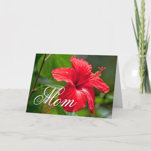 Mothers Day Red Hibiscus Tropical Flower Card (Front)