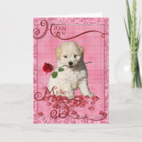 Mothers Day - Red Rose - Bichon Frise Puppy