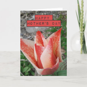 Mother's Day Red Tulip Card