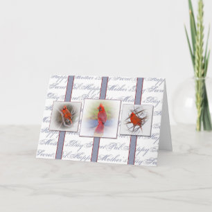 Mother's Day Secret Pal - Cardinals Card