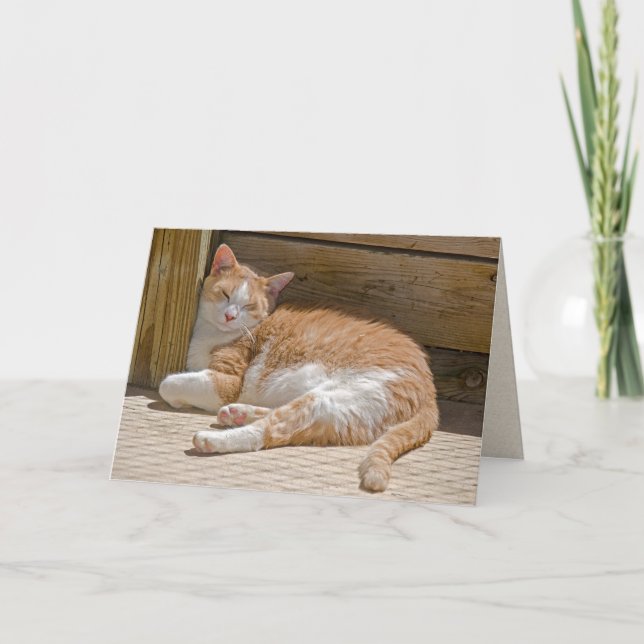 Mother's Day Tabby Cat Nap Card (Front)