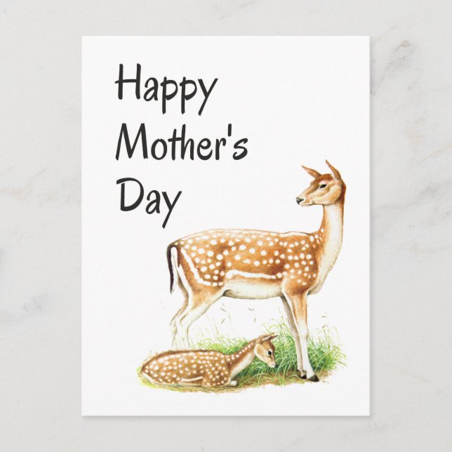 Mother's Day, Vintage Deer Mom and Baby Postcard (Front)