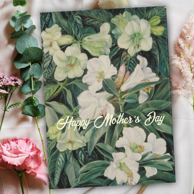 Mothers Day White Floral Holiday Card (Creator Uploaded)