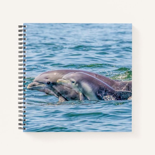 Mother's Love Dolphin & Baby Notebook (Front)
