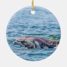 Mother's Love Dolphin & Baby Ornament