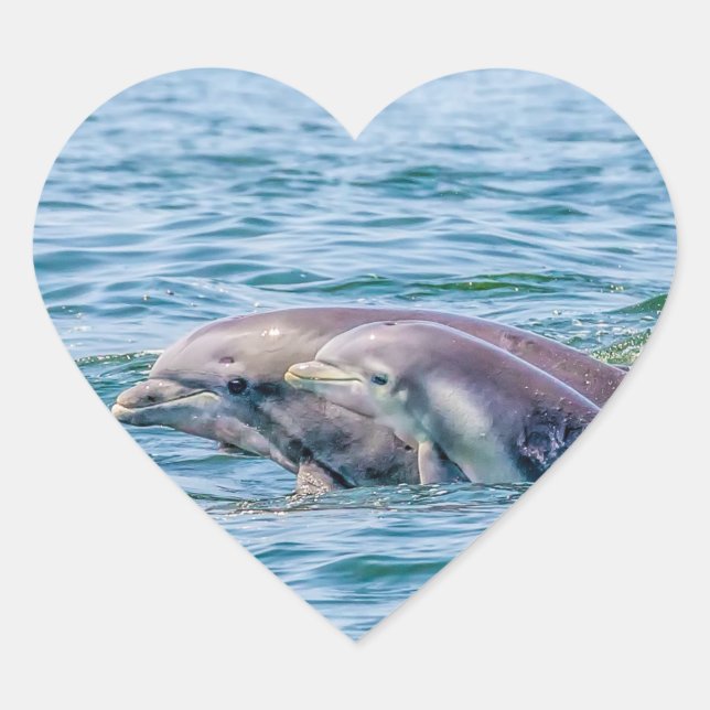 Mother's Love Dolphin & Baby Stickers (Front)