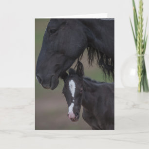 Mother's Love - Galloping to Freedom Greeting Card