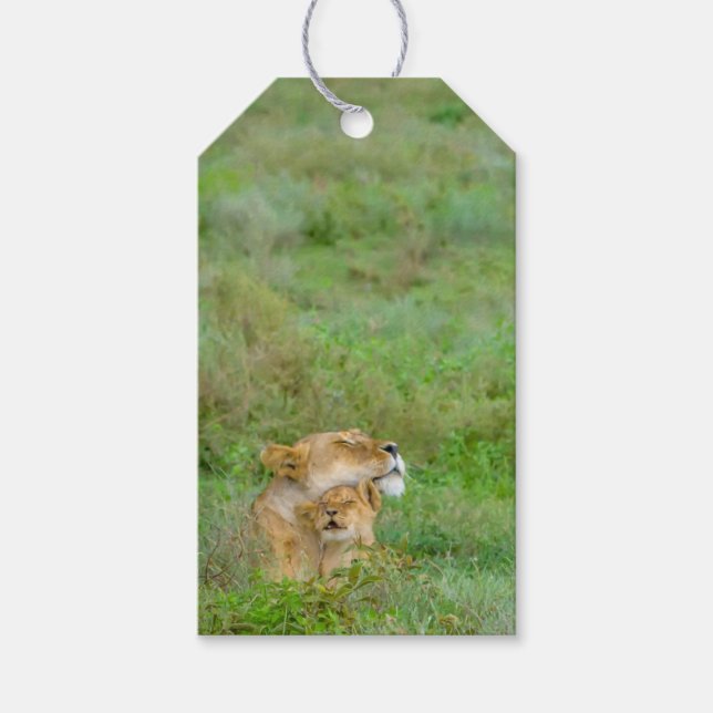 Mother's Love Lioness & Baby Gift Tag (Front)