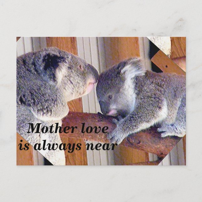 Mother's Love_ Postcard (Front)