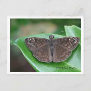 Mothly Intentions Postcard