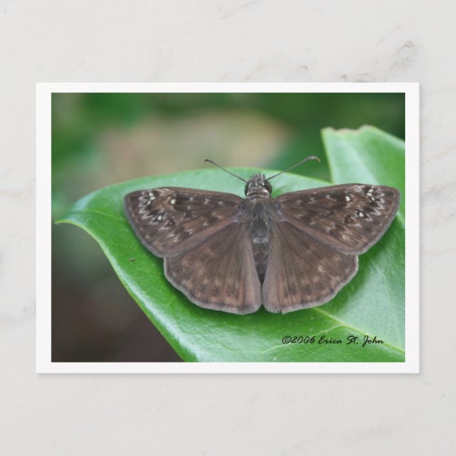 Mothly Intentions Postcard (Front)