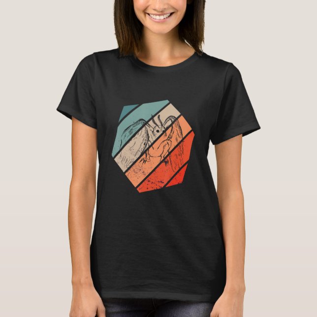 Mothman Cryptozoology Hexa Retro Folklore Cryptid  T-Shirt (Front)