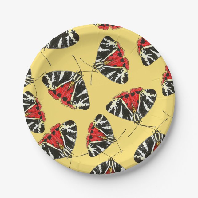 Moths 3 paper plate (Front)