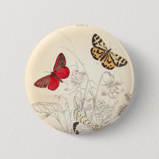 Moths and Butterflies 2 Inch Round Button (Front)