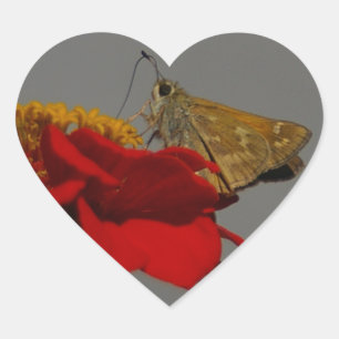 Moths and Red Zinnia Heart Sticker