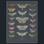 MOTHS AT NIGHT TISSUE PAPER<br><div class="desc">Colourful antique natural science platelette illustrations on a dark backdrop. See the SalvageScapes store collection APOTHECARY & OLD NATURAL SCIENCE  for similar antique and vintage style designs.</div>