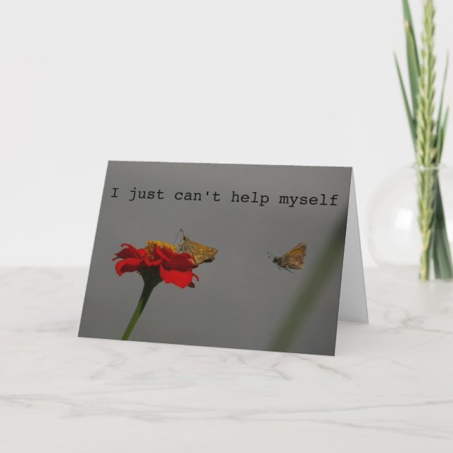 Moths 'I Go Where You Go' Card (Front)