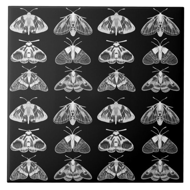 Moths in Black, White and Grey  Tile (Front)