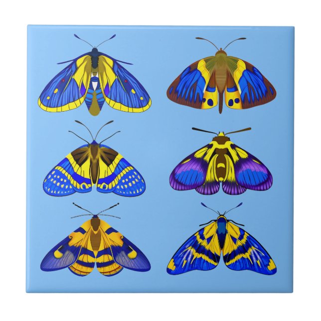 Moths in Blue, Golden Yellow and Brown small Tile (Front)