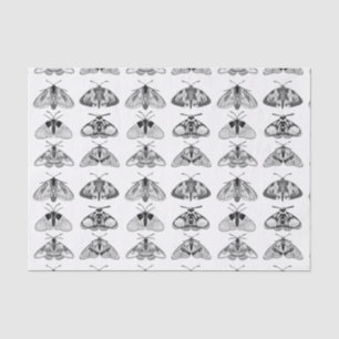 Moths in Grey, Black and White Tissue Paper