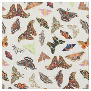 Moths insects beautiful nature fabric