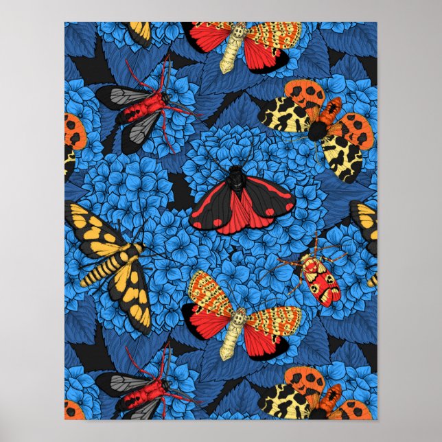 Moths on blue hydrangea poster (Front)