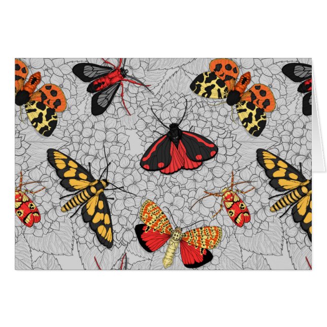 Moths on hydrangea (Front Horizontal)