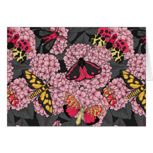 Moths on pink hydrangea