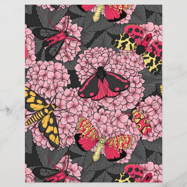 Moths on pink hydrangea (Front)