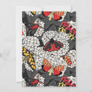 Moths on white hydrangea