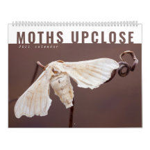 MOTHS UPCLOSE 2021 CALENDAR