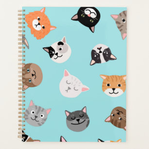 Motif