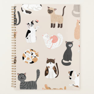 Motif