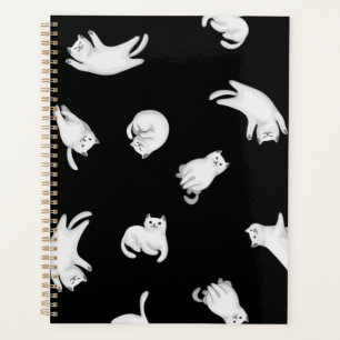 Motif