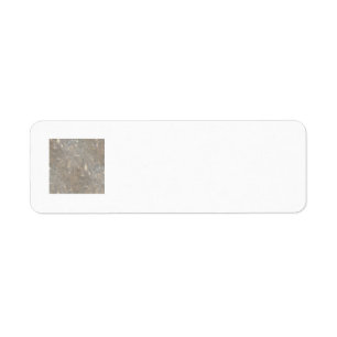 Motif clair d'image de cellophane