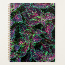 Motif de feuilles de Coleus vibrant.