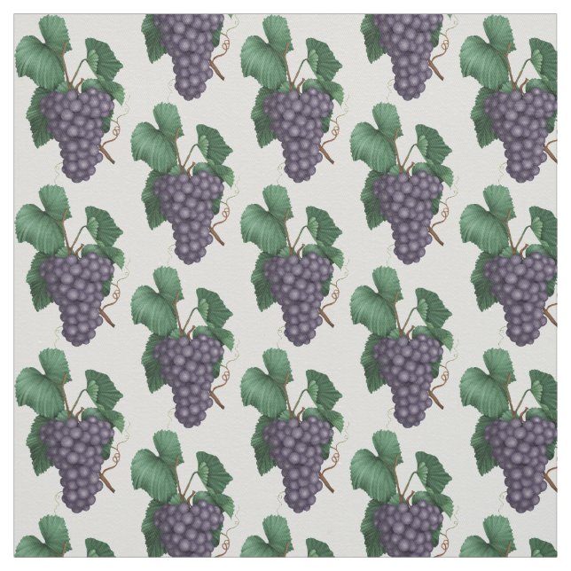 Motif de raisin Cuisine motif coton twill tissu (Échantillon)