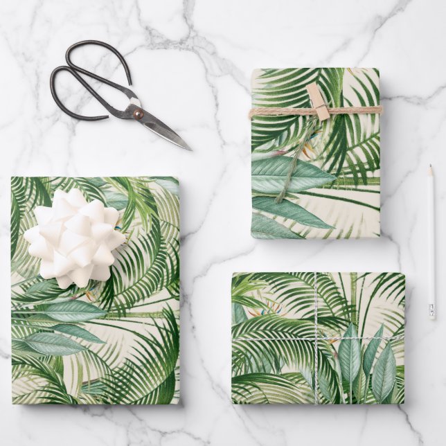 Motif Feuille de palme de feuillage tropical (Recto)