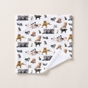 Motif mignon avec des photos de Chats et chatons
