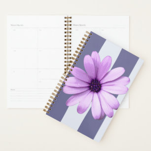 motif rayé avec des pâquerettes violettes