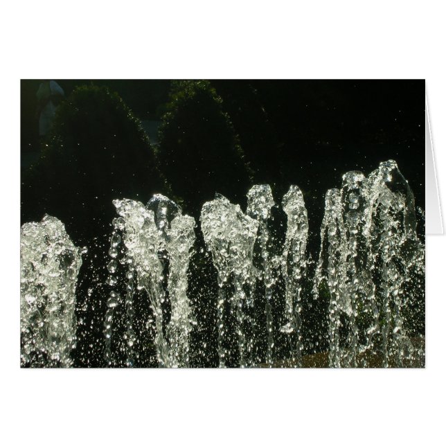 Motifs de la nature (Devant horizontal)