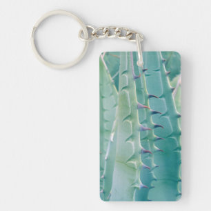 Motifs d'une plante d'Agave