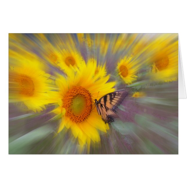 Motion, CARD (Devant horizontal)