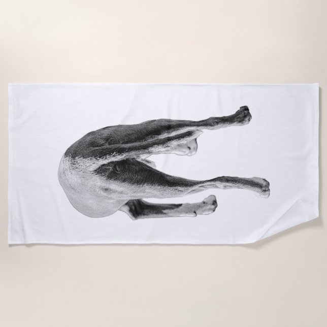 Motion in Monochrome Beach Towel (Front)