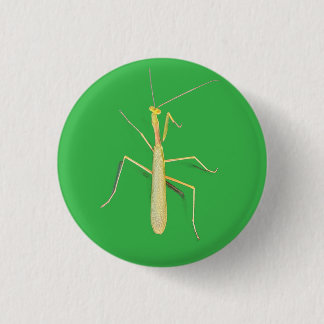 Motionless Mantis,  1 Inch Round Button